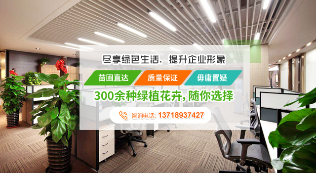 WXD型無油渦旋真空泵性能曲線圖
